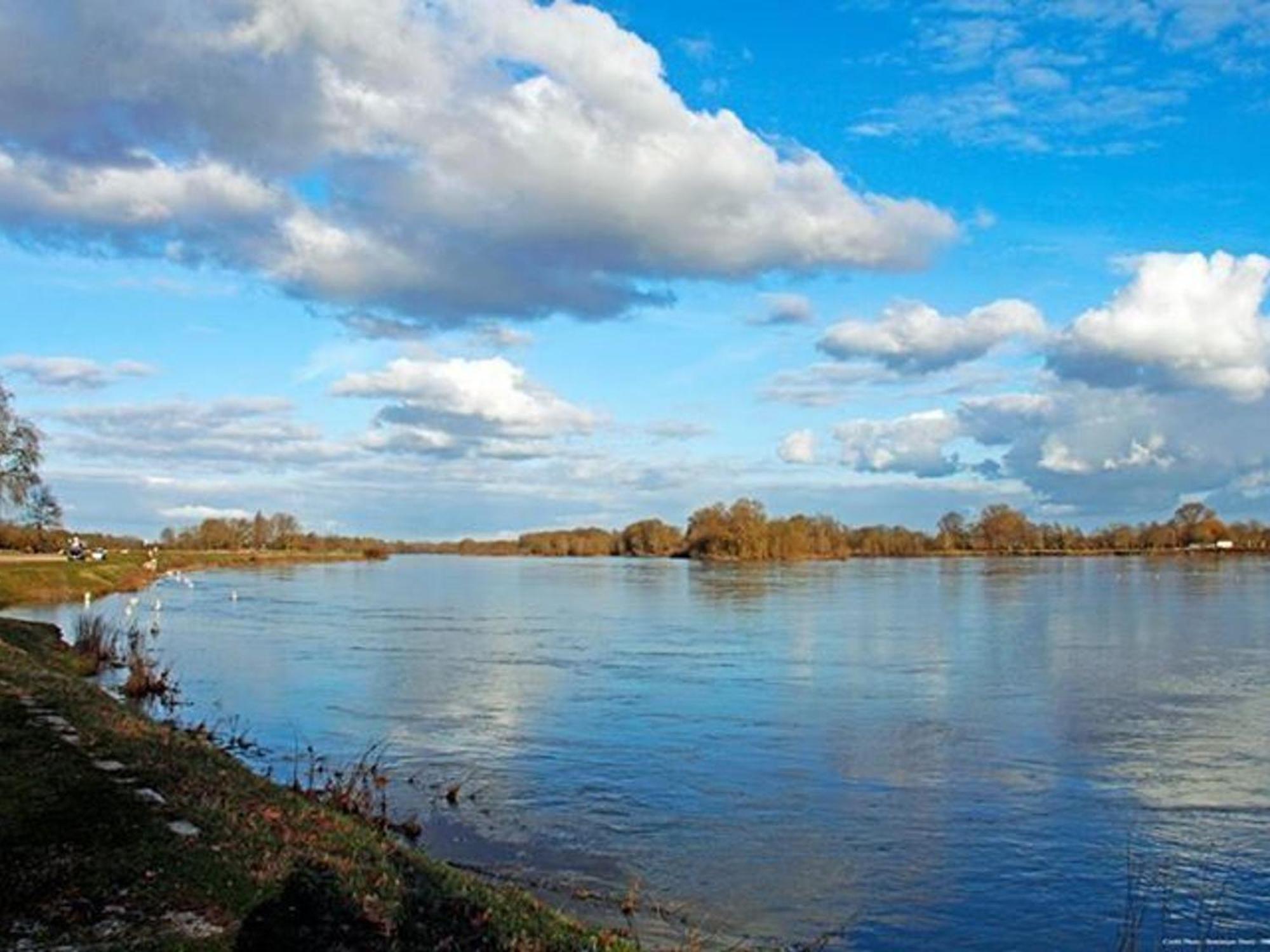 Charme Au Coeur Des Chateaux De La Loire Avec Wifi - Fr-1-590-305 Bed and Breakfast Tavers Eksteriør billede