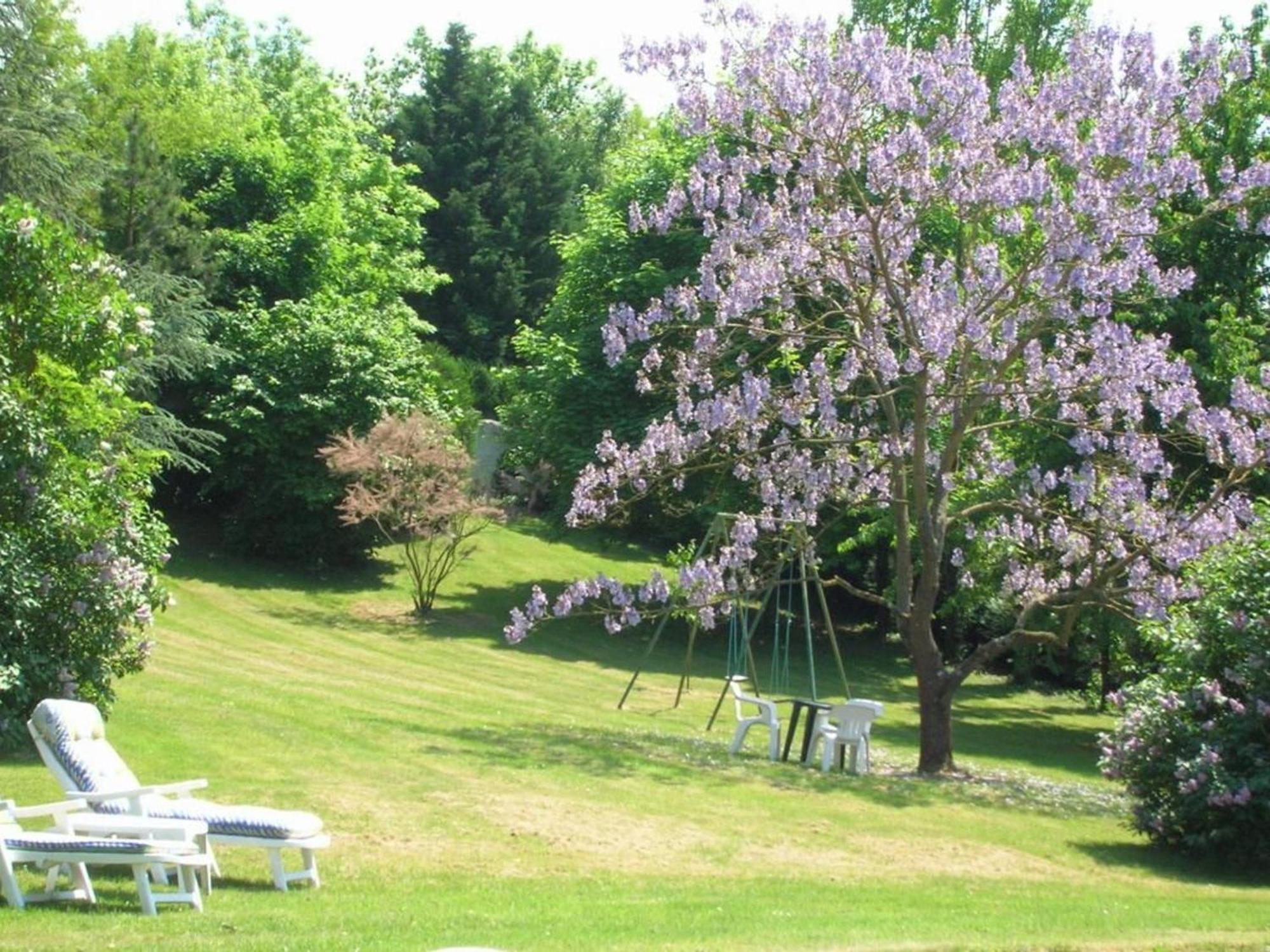 Charme Au Coeur Des Chateaux De La Loire Avec Wifi - Fr-1-590-305 Bed and Breakfast Tavers Eksteriør billede